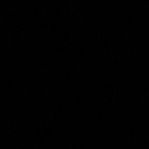 Meet your Posher, Audrey